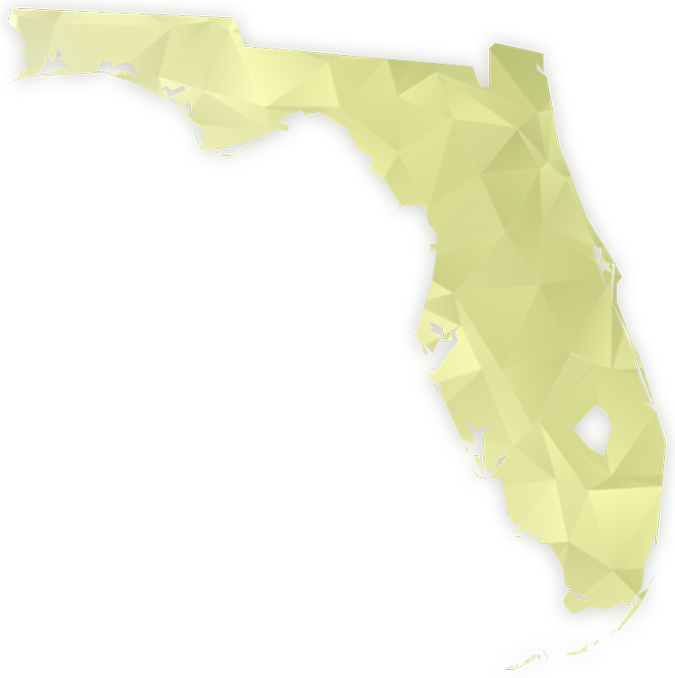 Georgia Senate Runoffs precinct map
